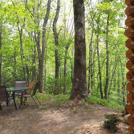 Two Rivers Cabins - The Mountaintop Brevard Extérieur photo