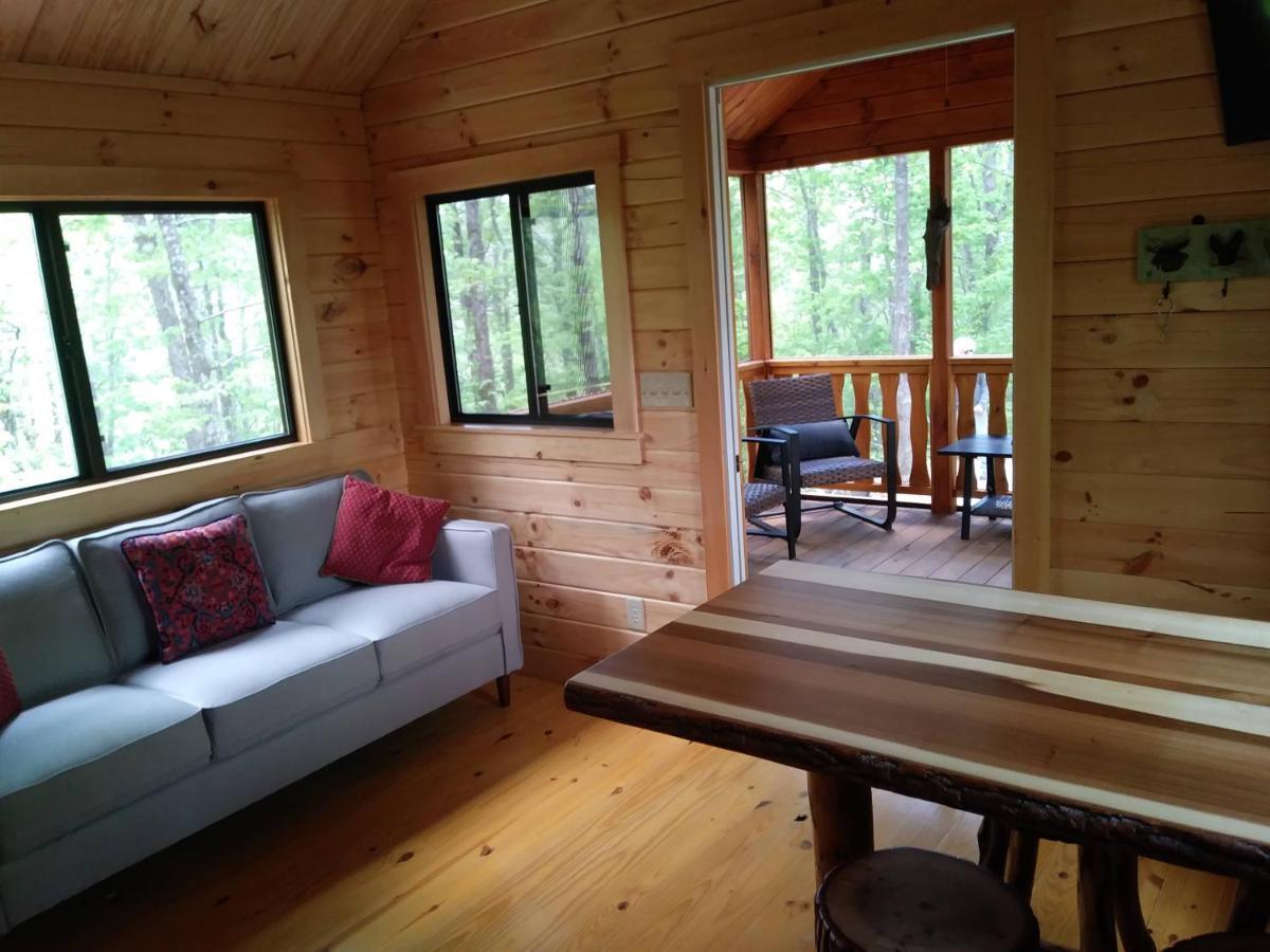 Two Rivers Cabins - The Mountaintop Brevard Extérieur photo