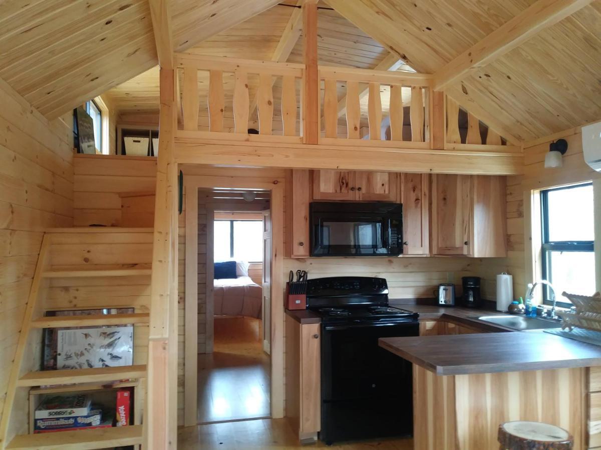Two Rivers Cabins - The Mountaintop Brevard Extérieur photo