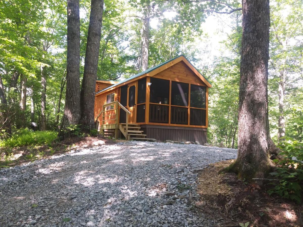 Two Rivers Cabins - The Mountaintop Brevard Extérieur photo
