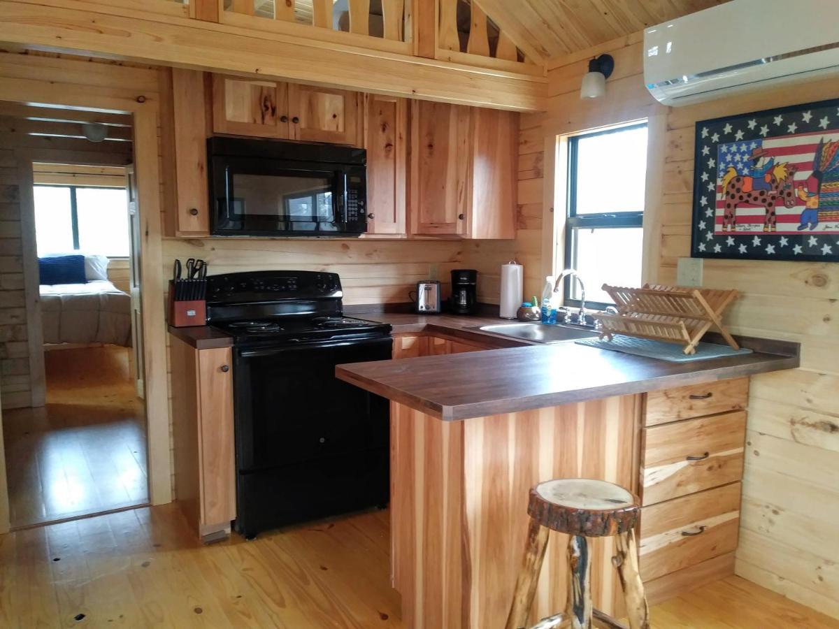 Two Rivers Cabins - The Mountaintop Brevard Extérieur photo
