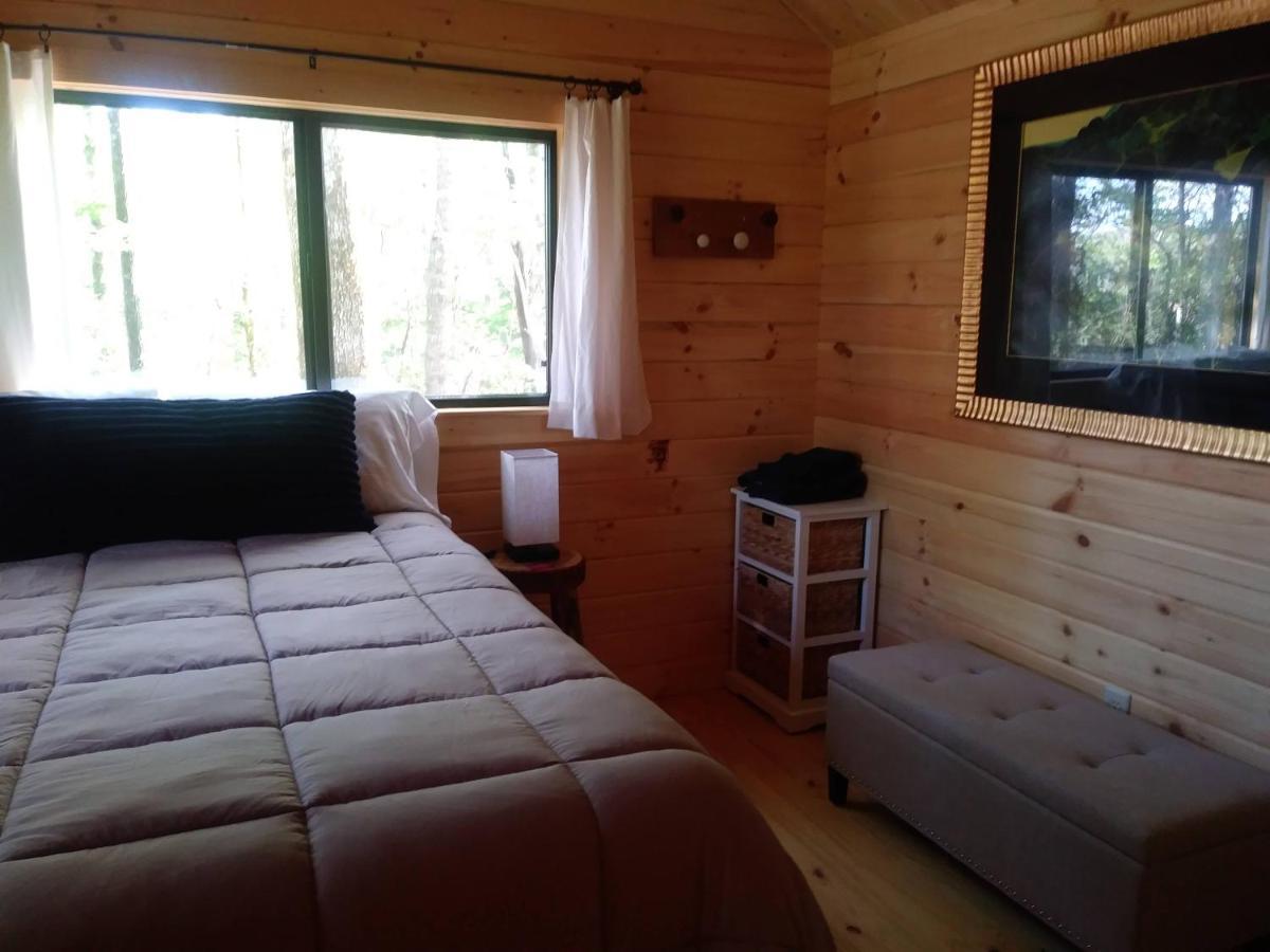 Two Rivers Cabins - The Mountaintop Brevard Extérieur photo
