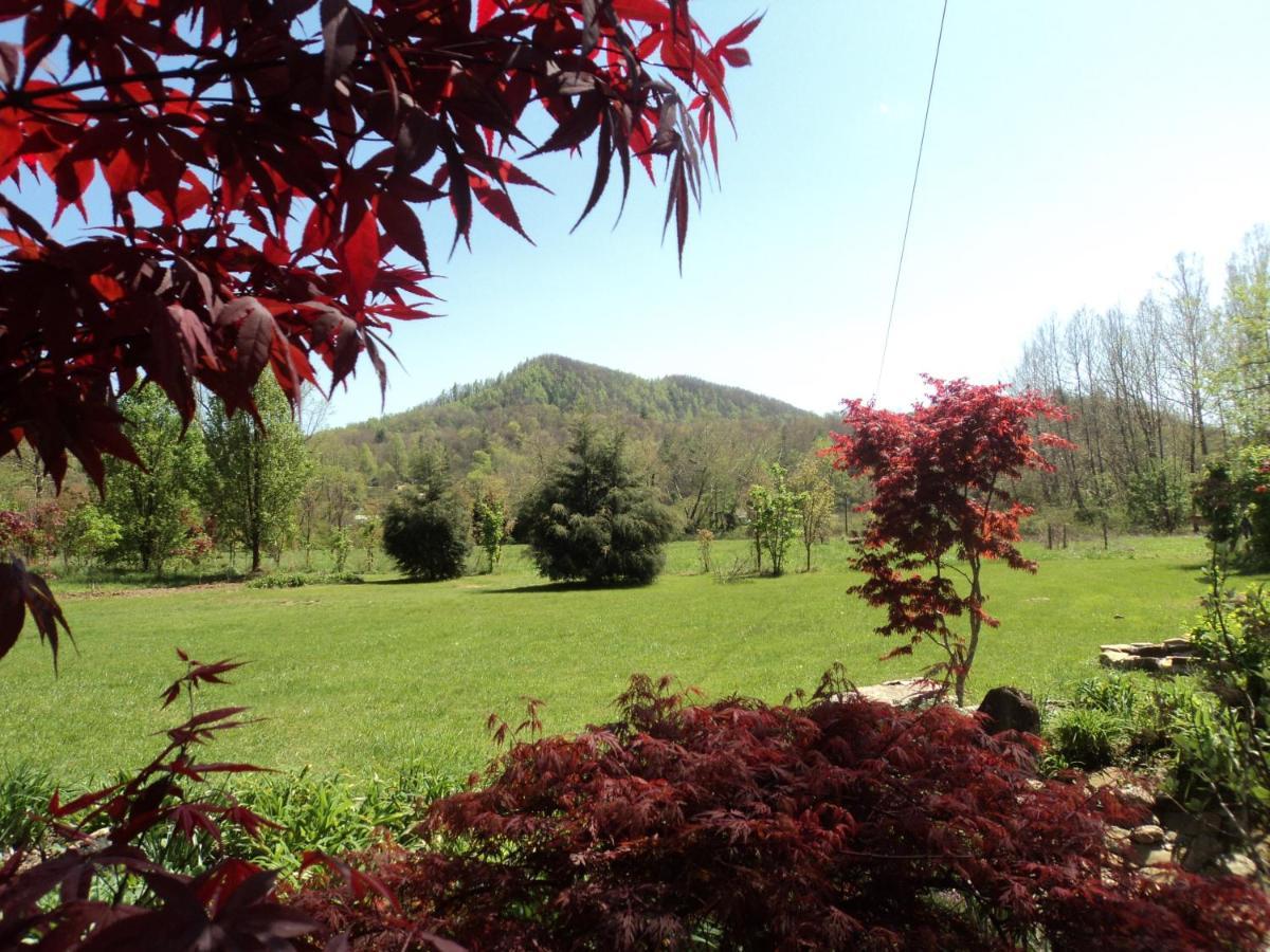Two Rivers Cabins - The Mountaintop Brevard Extérieur photo