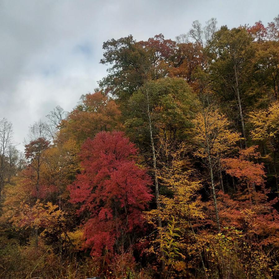 Two Rivers Cabins - The Mountaintop Brevard Extérieur photo