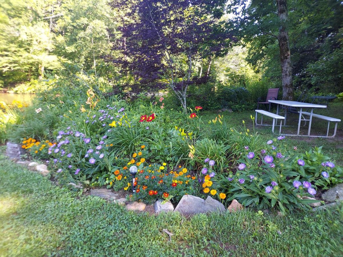 Two Rivers Cabins - The Mountaintop Brevard Extérieur photo