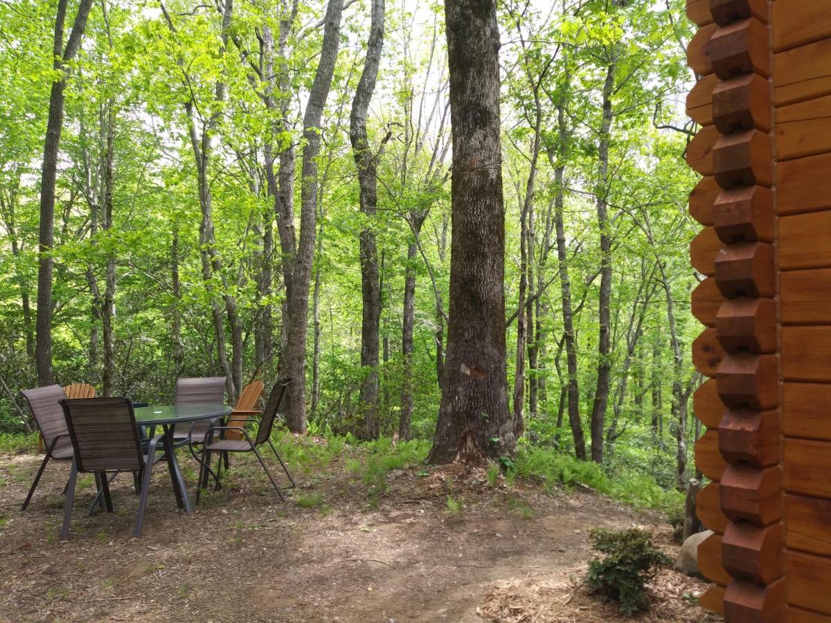 Two Rivers Cabins - The Mountaintop Brevard Extérieur photo