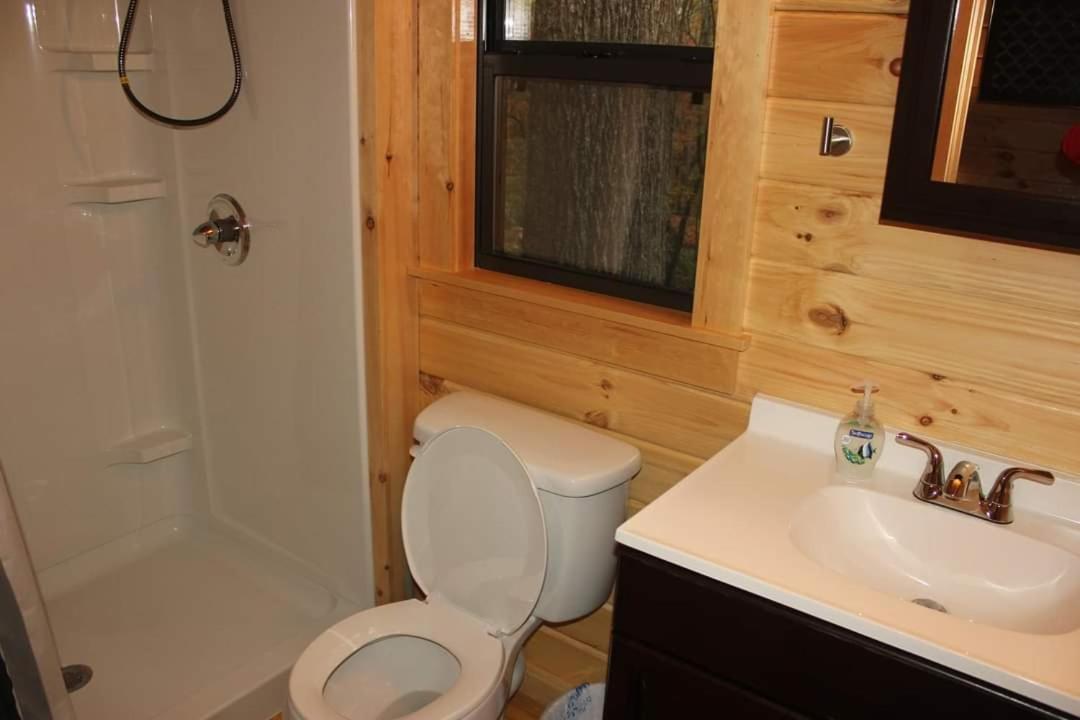 Two Rivers Cabins - The Mountaintop Brevard Extérieur photo